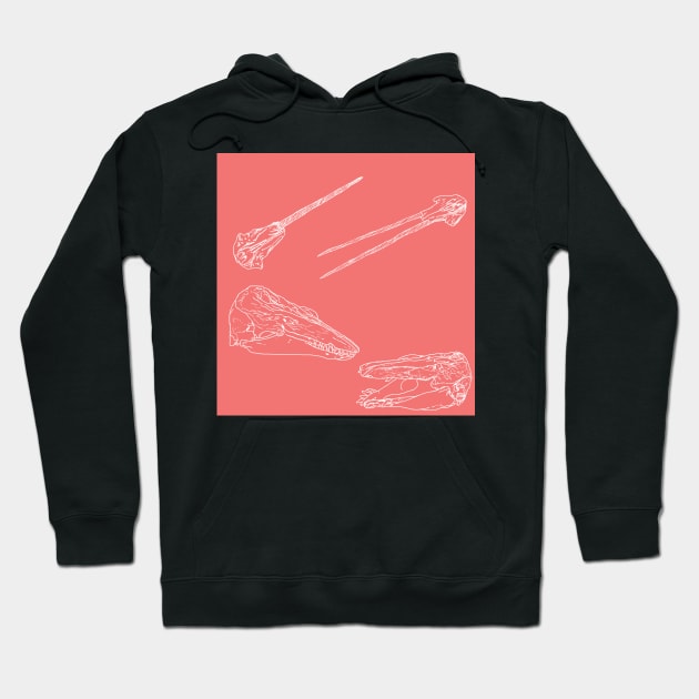 Arctic Whale Skulls and Oddities Sunset Hoodie by TrapperWeasel